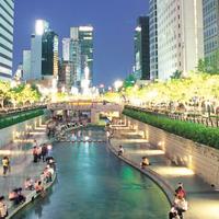 South Korea Holidays | Packages and Deals 2023 | Flight Centre NZ